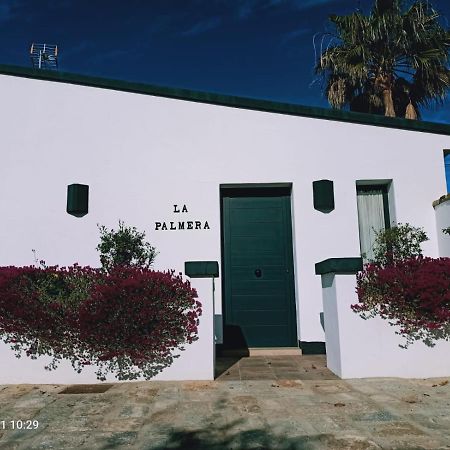 Casa La Palmera - Sólo Familias y Parejas Conil De La Frontera Exterior foto