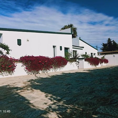 Casa La Palmera - Sólo Familias y Parejas Conil De La Frontera Exterior foto